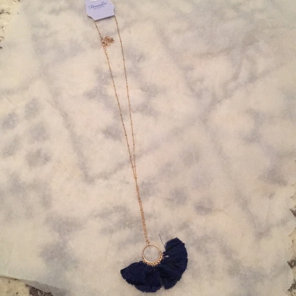 Navy Blue tassel necklace from Periwinkle 5/$25 - Picture 1 of 4